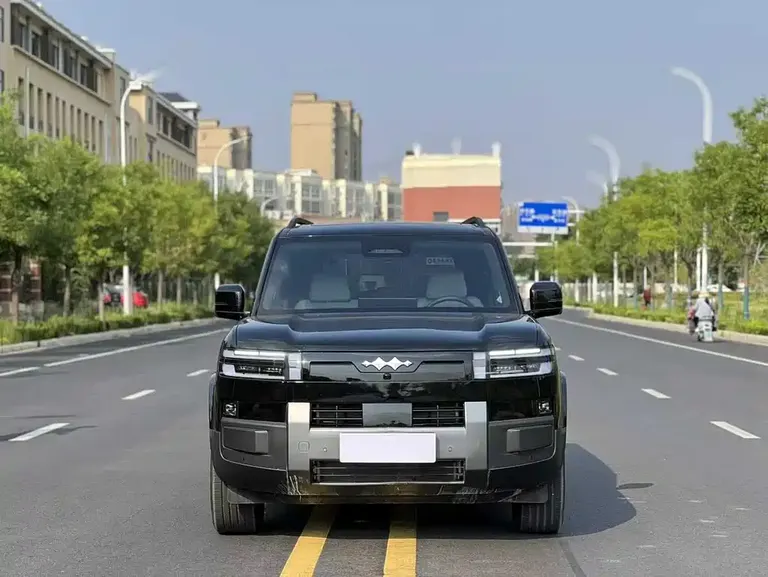 Fangchengbao Tai 7 135 KM 2 WD Pro