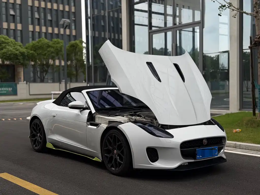 Jaguar F-TYPE 2.0 T Convertible