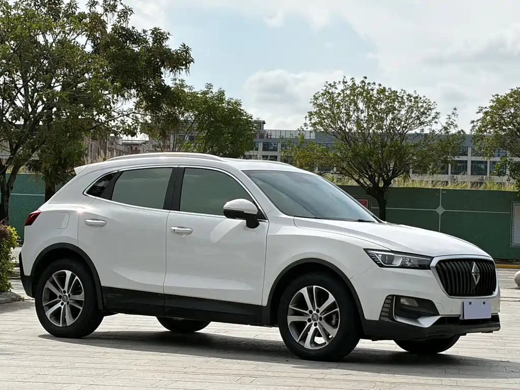 Borgward BX5 宝沃BX5 2017款 25 TGDI 自动四驱尊享型
