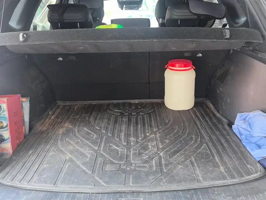 Song Pro NEV 2 nd Gen DM-i 75 KM Transcend