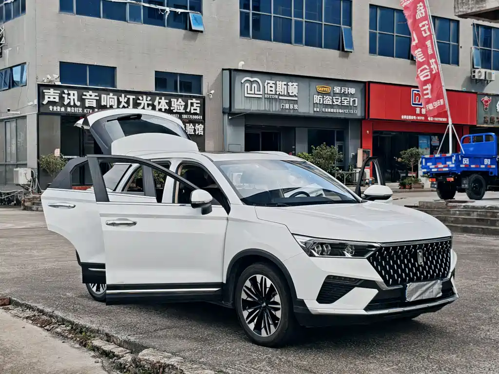 Besturn T77 PRO 280 TID Custom