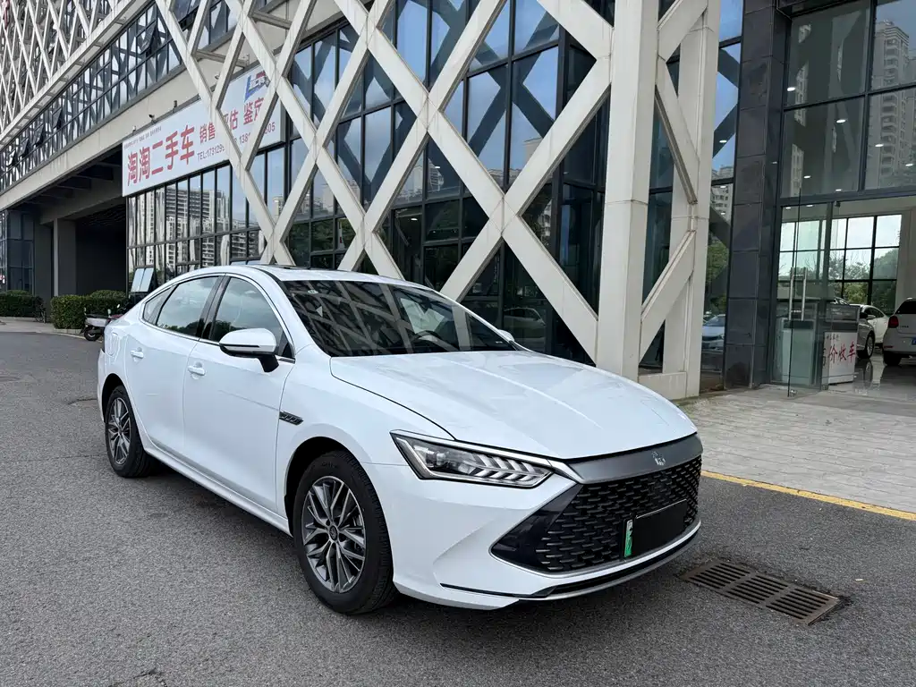 Qin PLUS Champion DM-i 120 KM Transcend