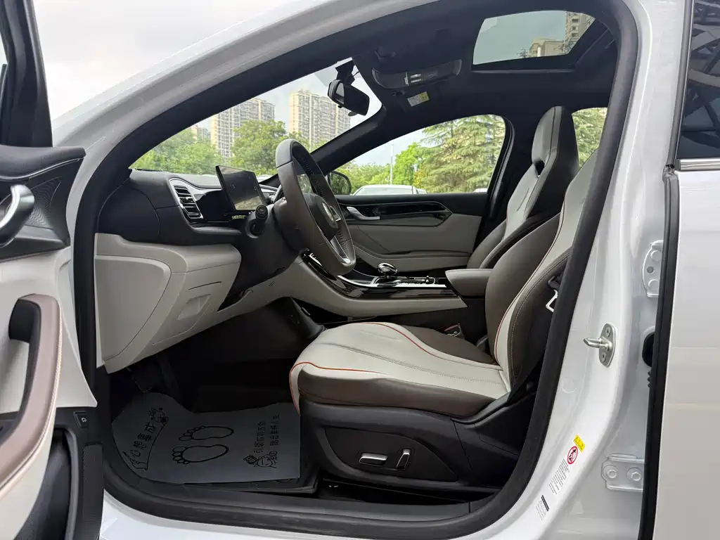 Qin PLUS Champion DM-i 120 KM Transcend