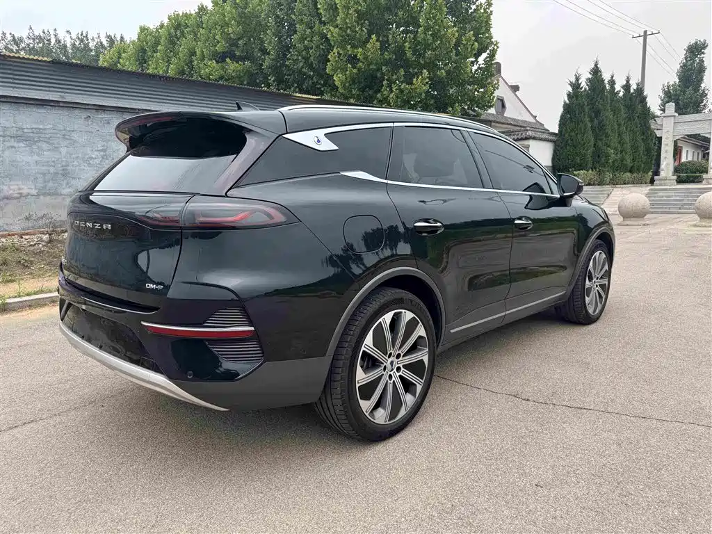 Denza N8 4 WD Super Hybrid Flagship 6-seat