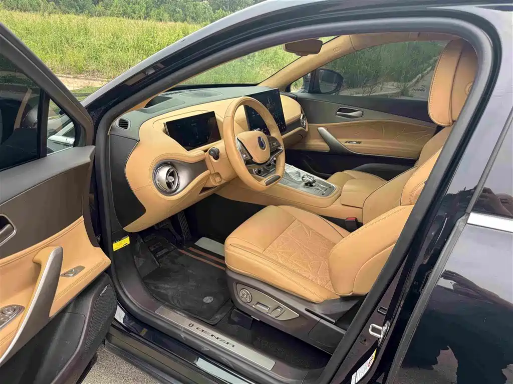 Denza N8 4 WD Super Hybrid Flagship 6-seat