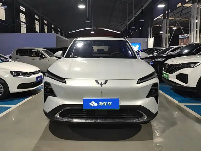 Wuling Starlight S 130 km Flagship
