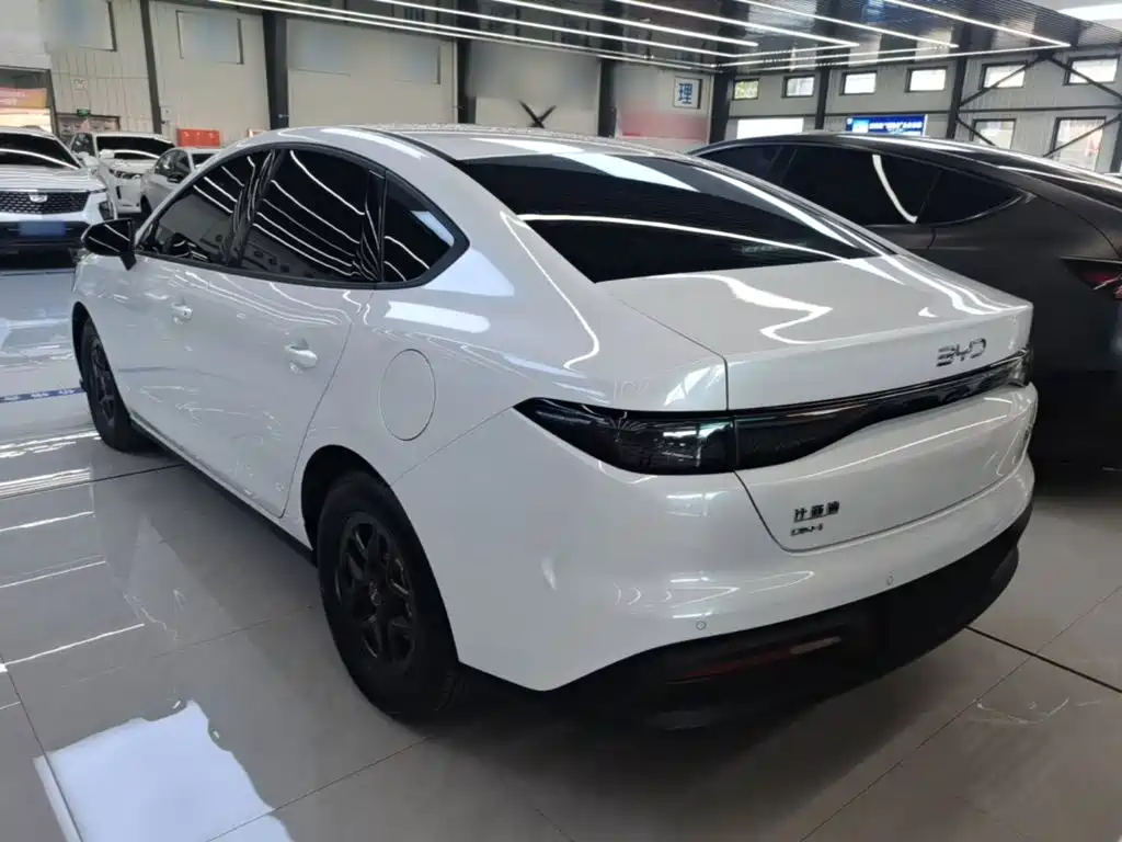 Seal 05 DM-i DM-i Smart Drive 55 KM Luxury