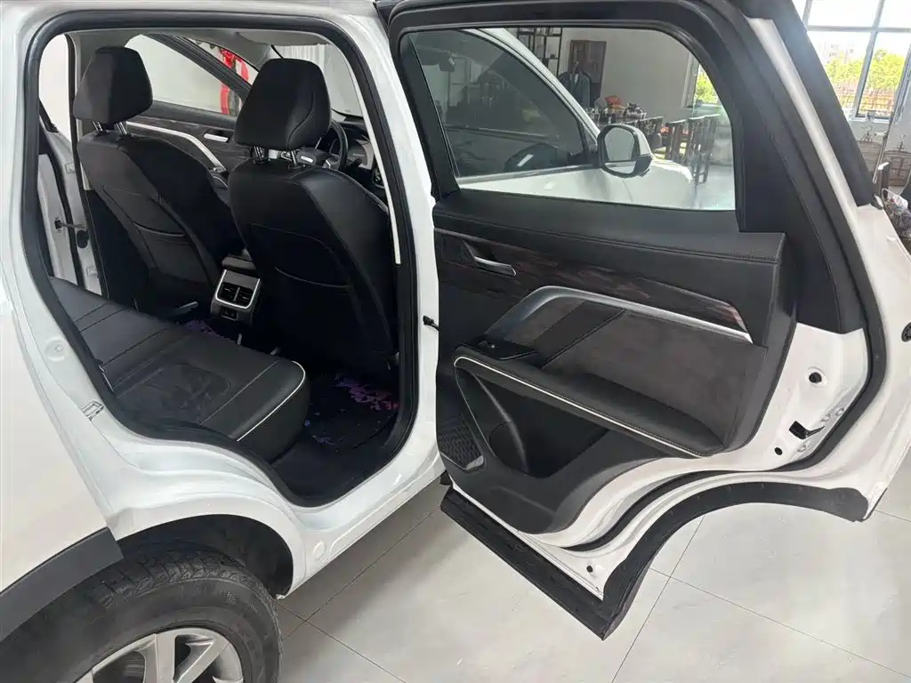 Haval H6 China Style 1.5 T Auto Champion