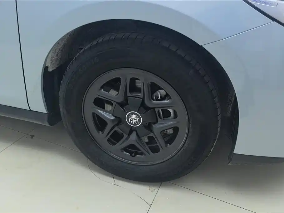 Qin PLUS DM-i Smart Drive 55 KM Leading