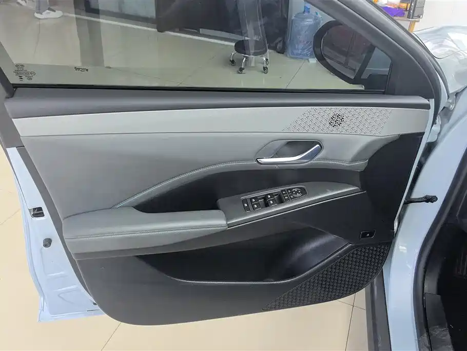 Qin PLUS DM-i Smart Drive 55 KM Leading