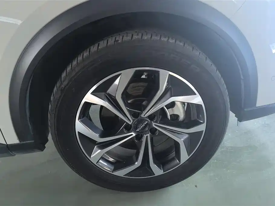 Haval Xiaolong MAX Hi4 165 Ultra Smart Drive