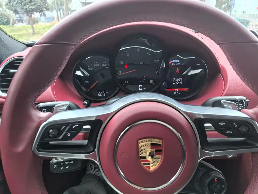 Porsche 718 Cayman Style Edition 2.0 T