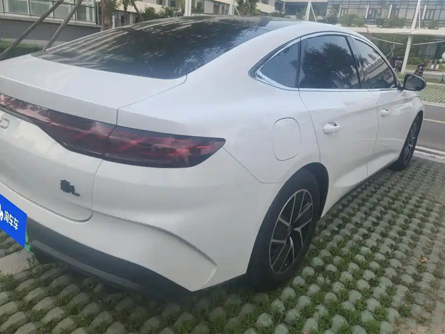 Qin L DM-i 80 KM Transcend