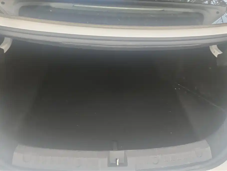 Qin L DM-i 80 KM Transcend