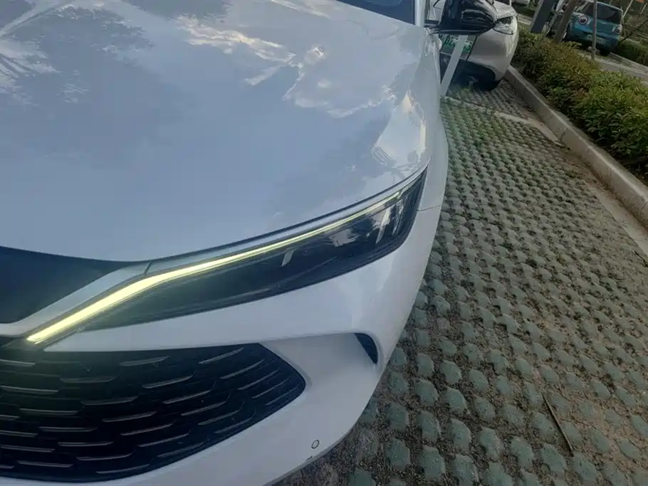 Qin L DM-i 80 KM Transcend
