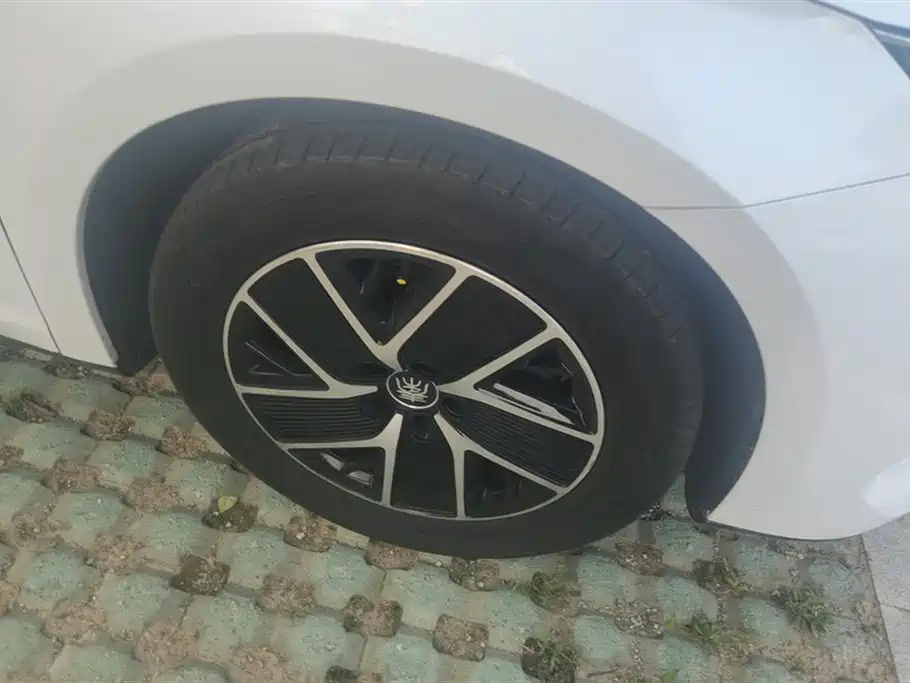 Qin L DM-i 80 KM Transcend