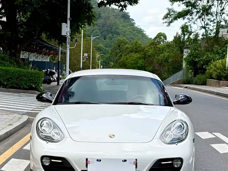 Porsche Cayman Cayman 2.9 L