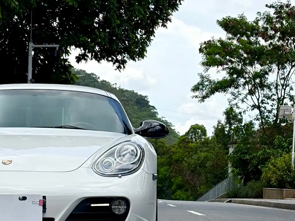 Cayman Cayman 2.9 L