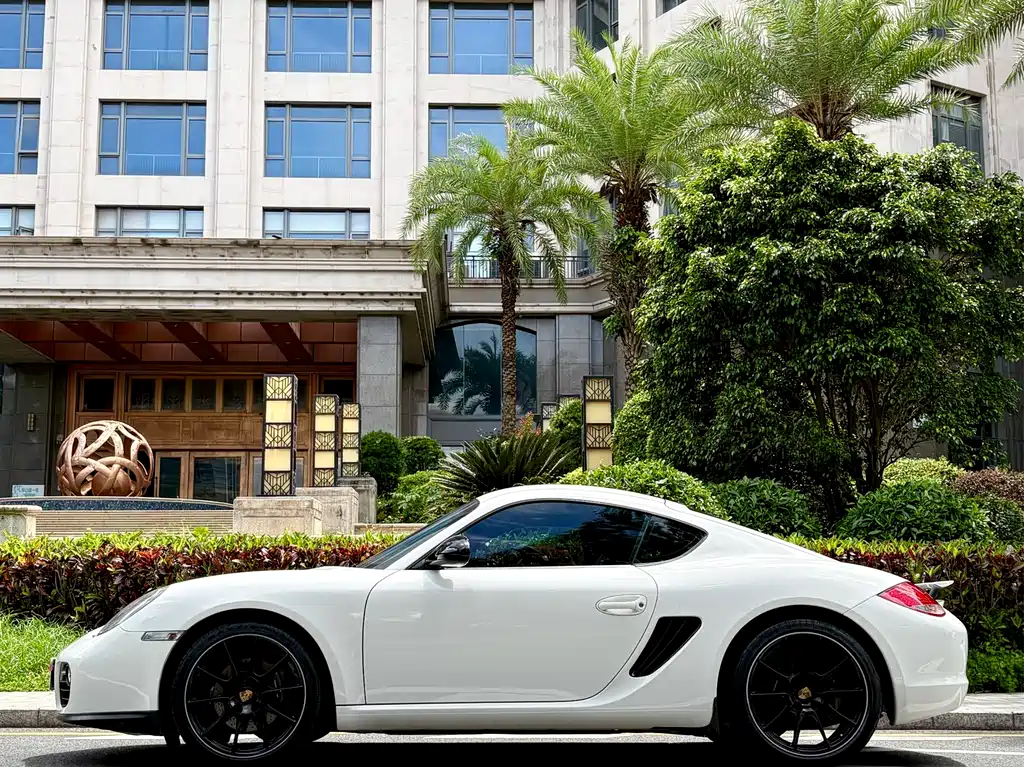Cayman Cayman 2.9 L