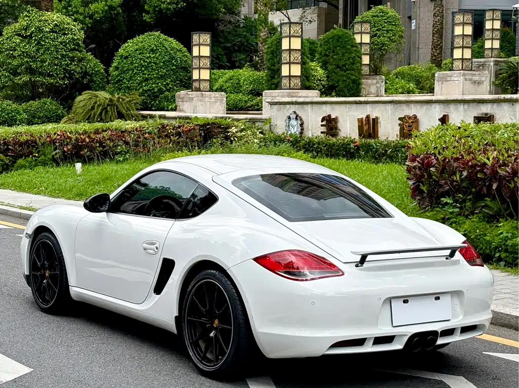 Cayman Cayman 2.9 L