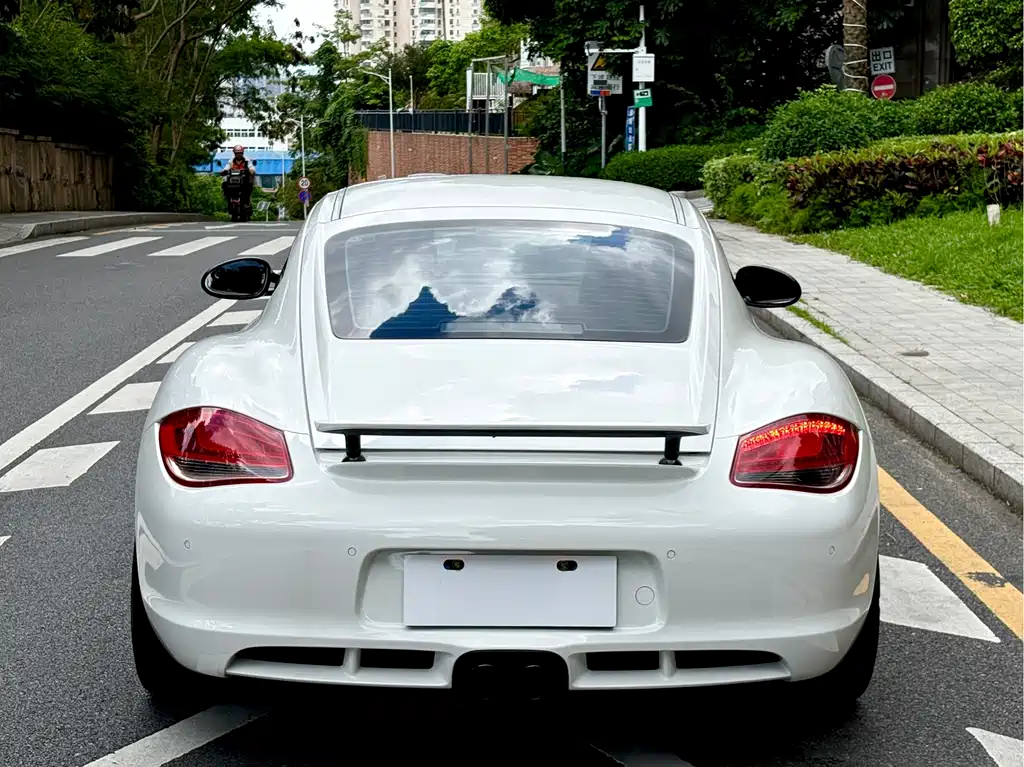 Cayman Cayman 2.9 L