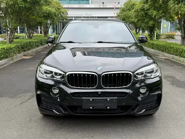 BMW X6 xDrive35 i Leading