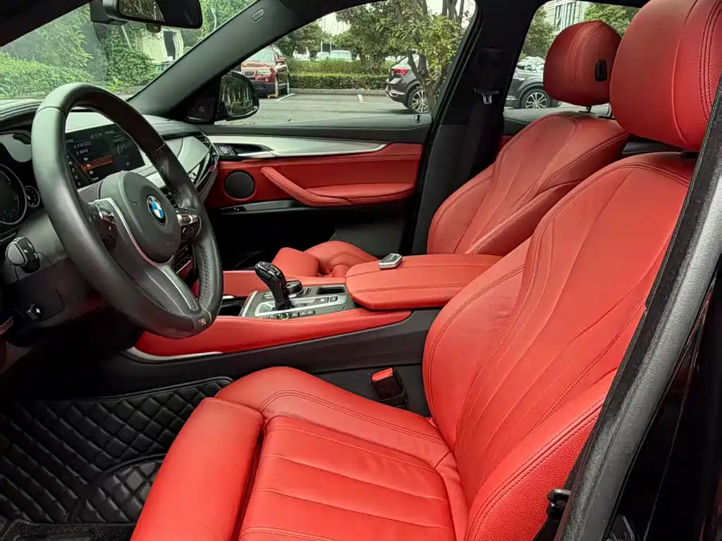 BMW X6 xDrive35 i Leading