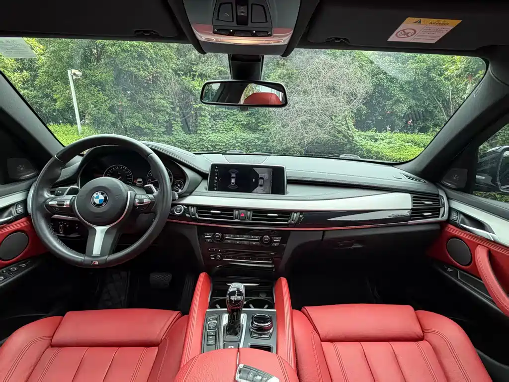 BMW X6 xDrive35 i Leading