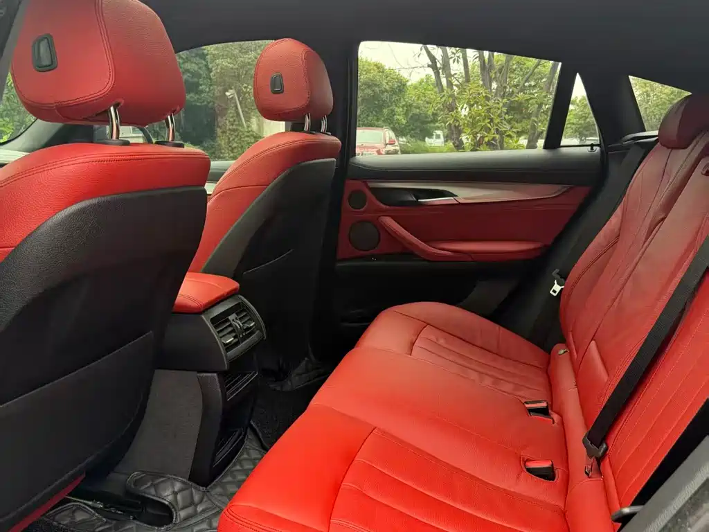 BMW X6 xDrive35 i Leading