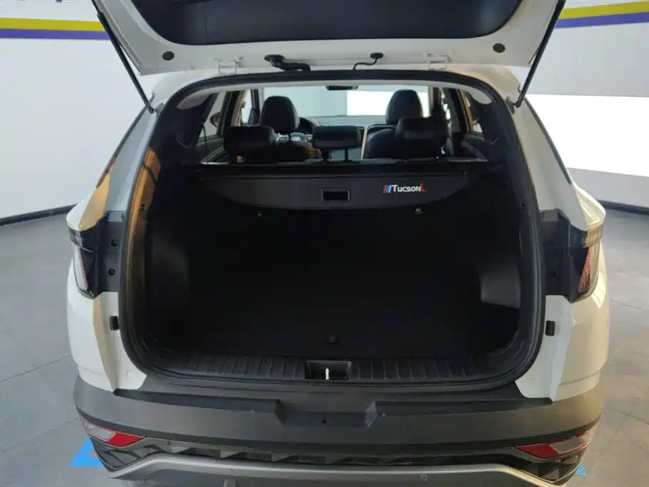Tucson Tucson L 1.5 T Auto 2 WD DLX Luxury