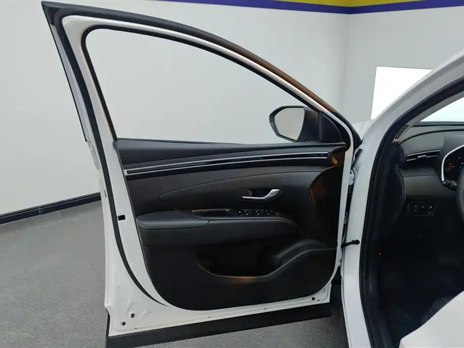 Tucson Tucson L 1.5 T Auto 2 WD DLX Luxury