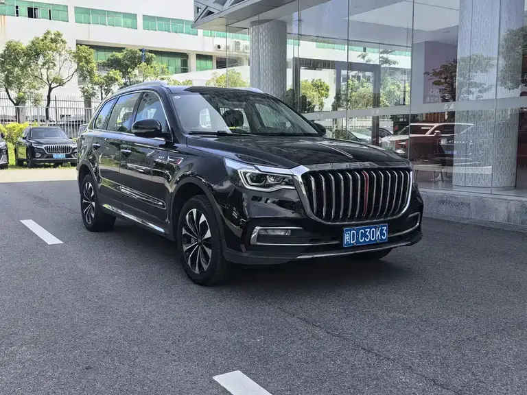 Hongqi HS7 红旗HS7 2021款 3.0 T 自动四驱智联旗悦版