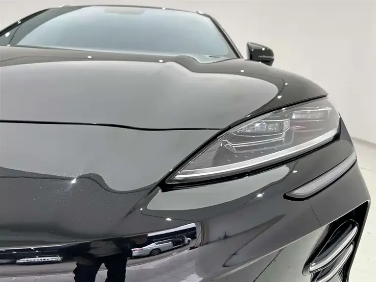 BYD Song PLUS NEV Glory DM-i 110 km Flagship