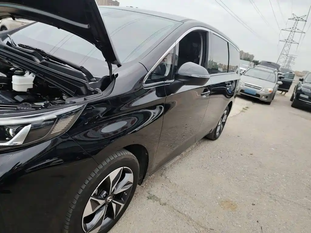 GAC Trumpchi M6 PRO 270 T DCT Luxury