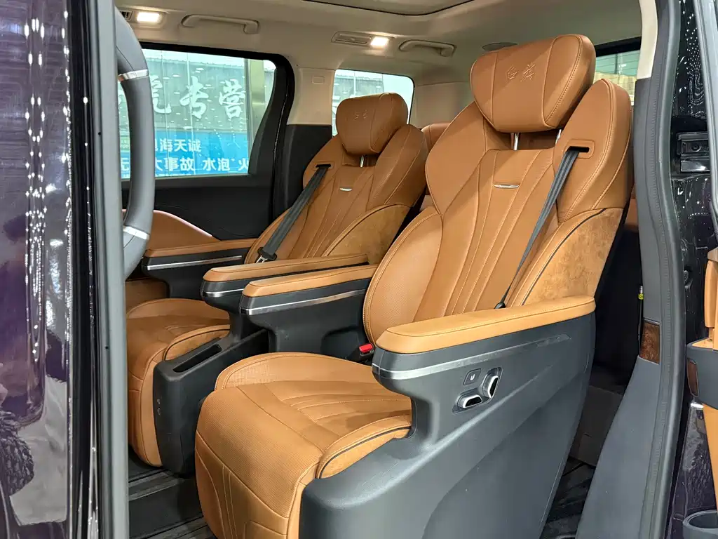 Hongqi HQ9 2.0 T Connected Flagship Enjoyment