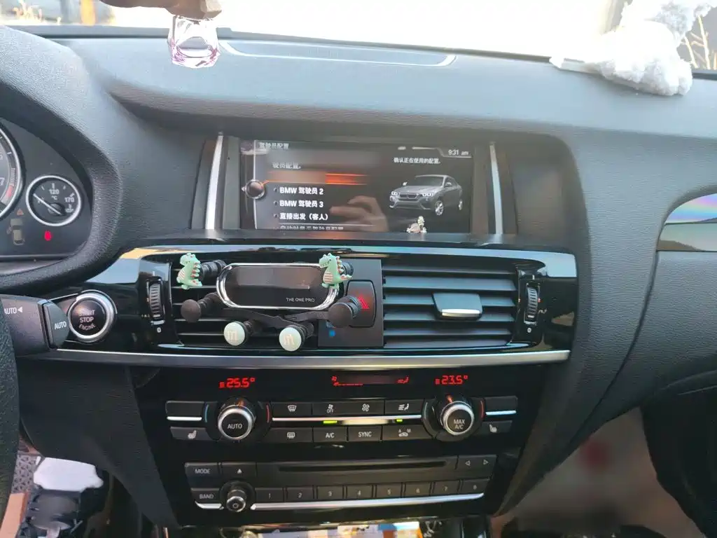 BMW X4 xDrive20 i X Design Package