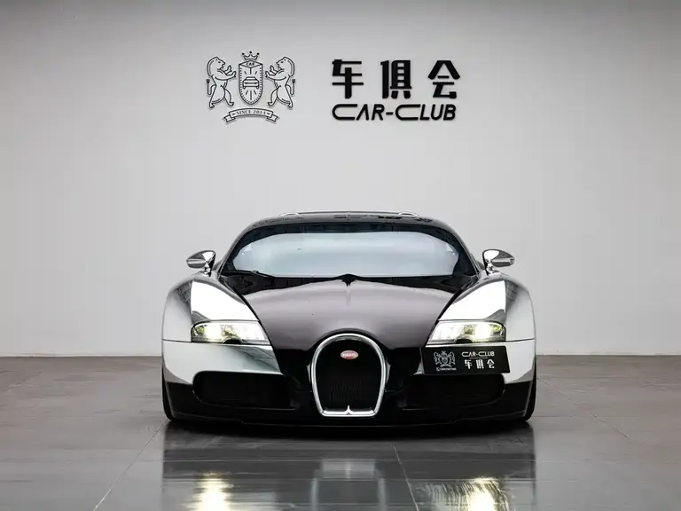 Bugatti Veyron 8.0 L Auto
