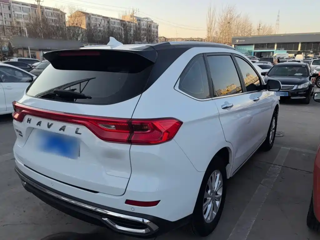 Haval M6 PLUS 1.5 T DCT Luxury Connected