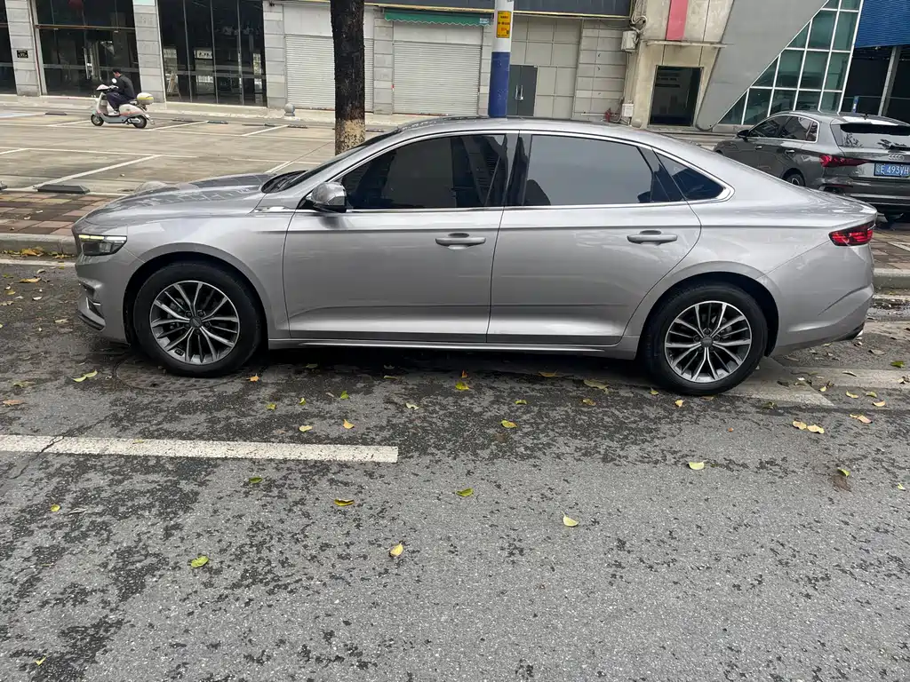 Xingrui 2.0 TD Luxury