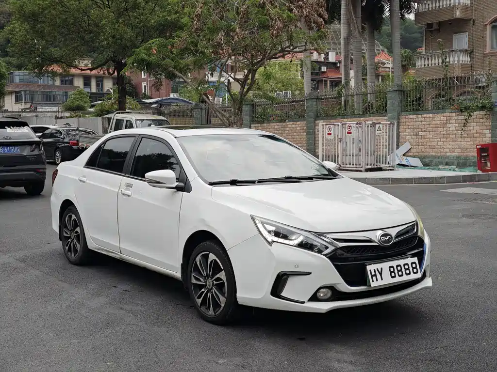 Qin NEV 1.5 T Dual Crown Flagship Plus