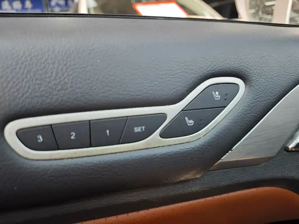 Qin NEV 1.5 T Dual Crown Flagship Plus