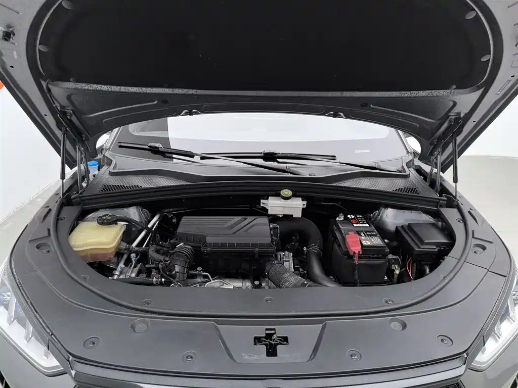 Song PLUS 1.5 T Auto Flagship