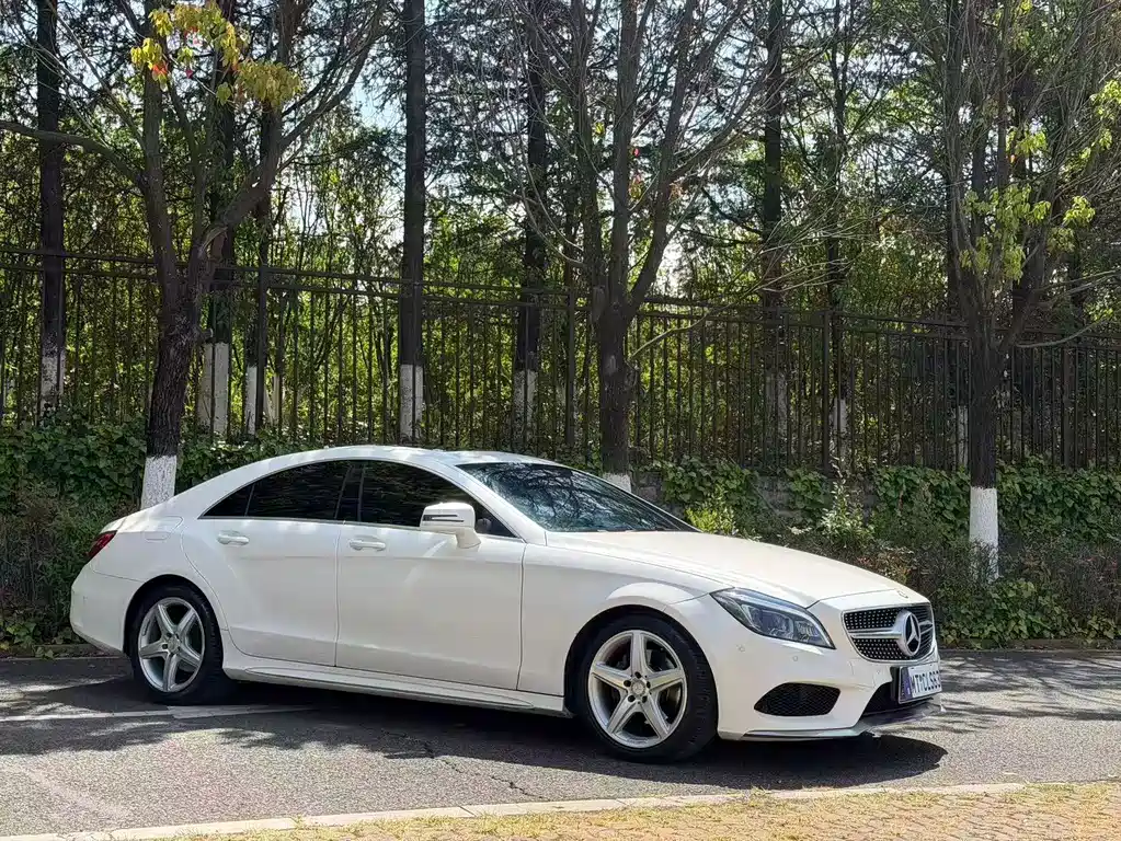 Mercedes-Benz CLS CLS 260 Colorful