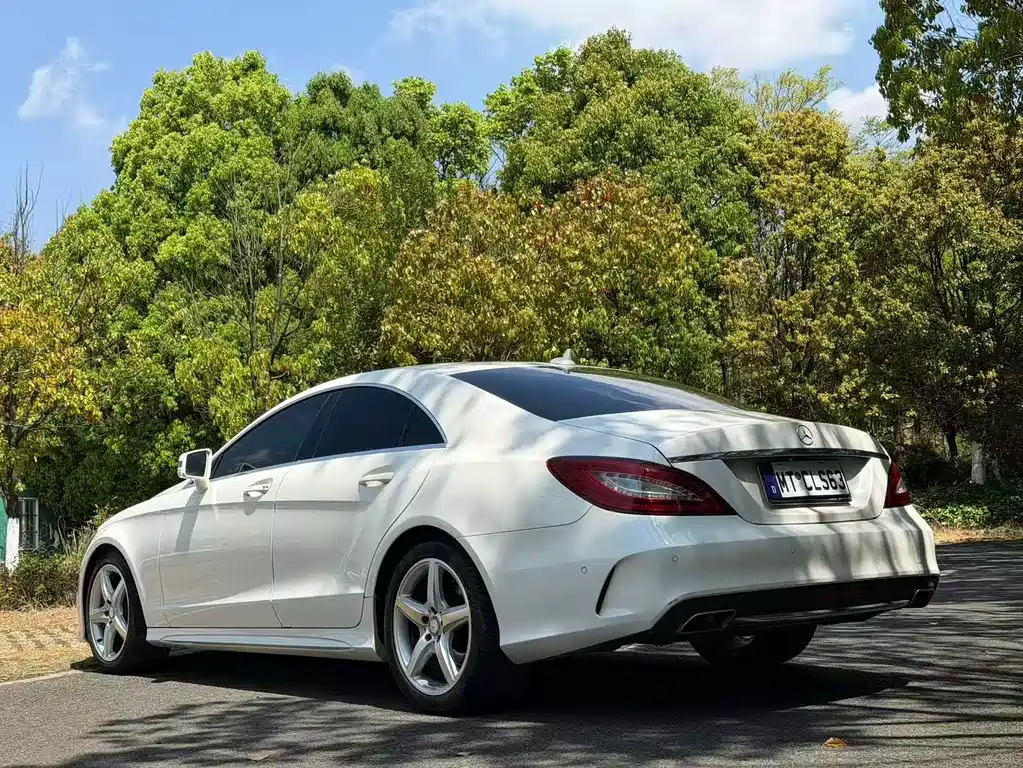 Mercedes-Benz CLS CLS 260 Colorful