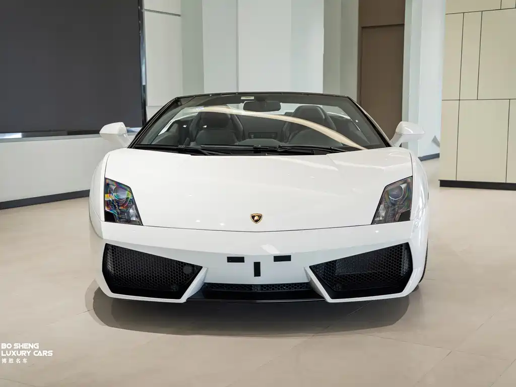 Gallardo Gallardo 2012款 LP 550