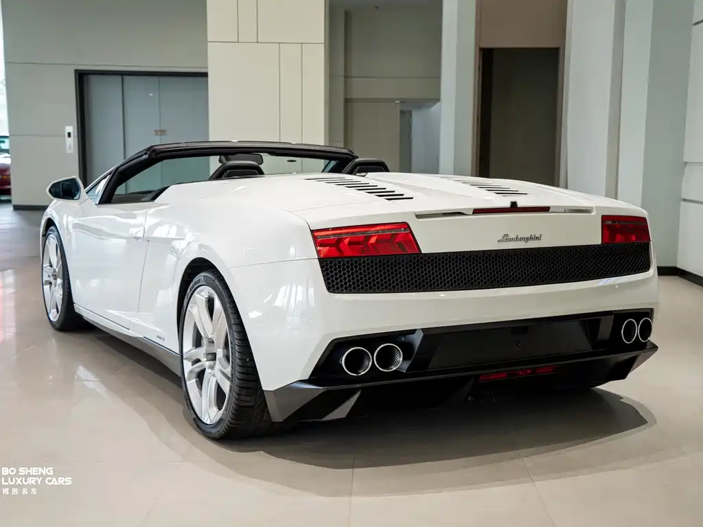 Gallardo Gallardo 2012款 LP 550