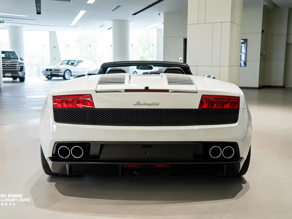 Gallardo Gallardo 2012款 LP 550