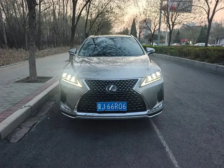 Lexus RX 300 4 WD Elegant CN-VI