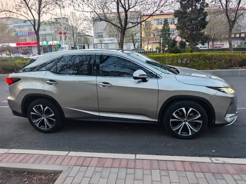 Lexus RX 300 4 WD Elegant CN-VI