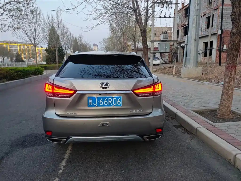 Lexus RX 300 4 WD Elegant CN-VI